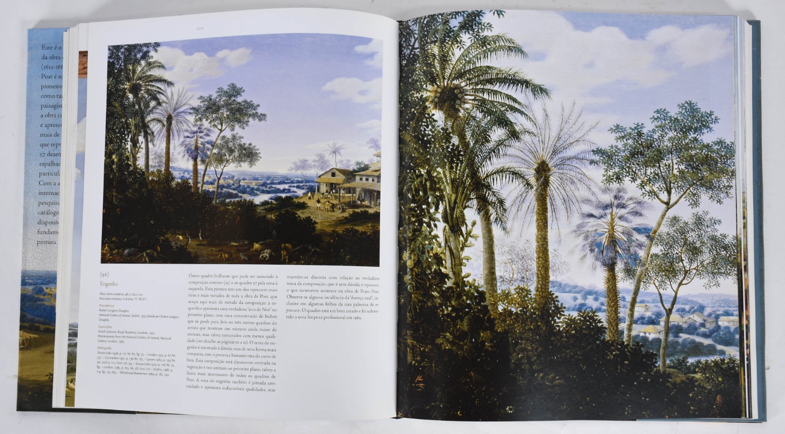 Frans Post 1612-1680. Obra completa. - foto 6 de 8