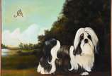 Carlos Anesi (1945-2010), Cachorro Shihtzu - ost.