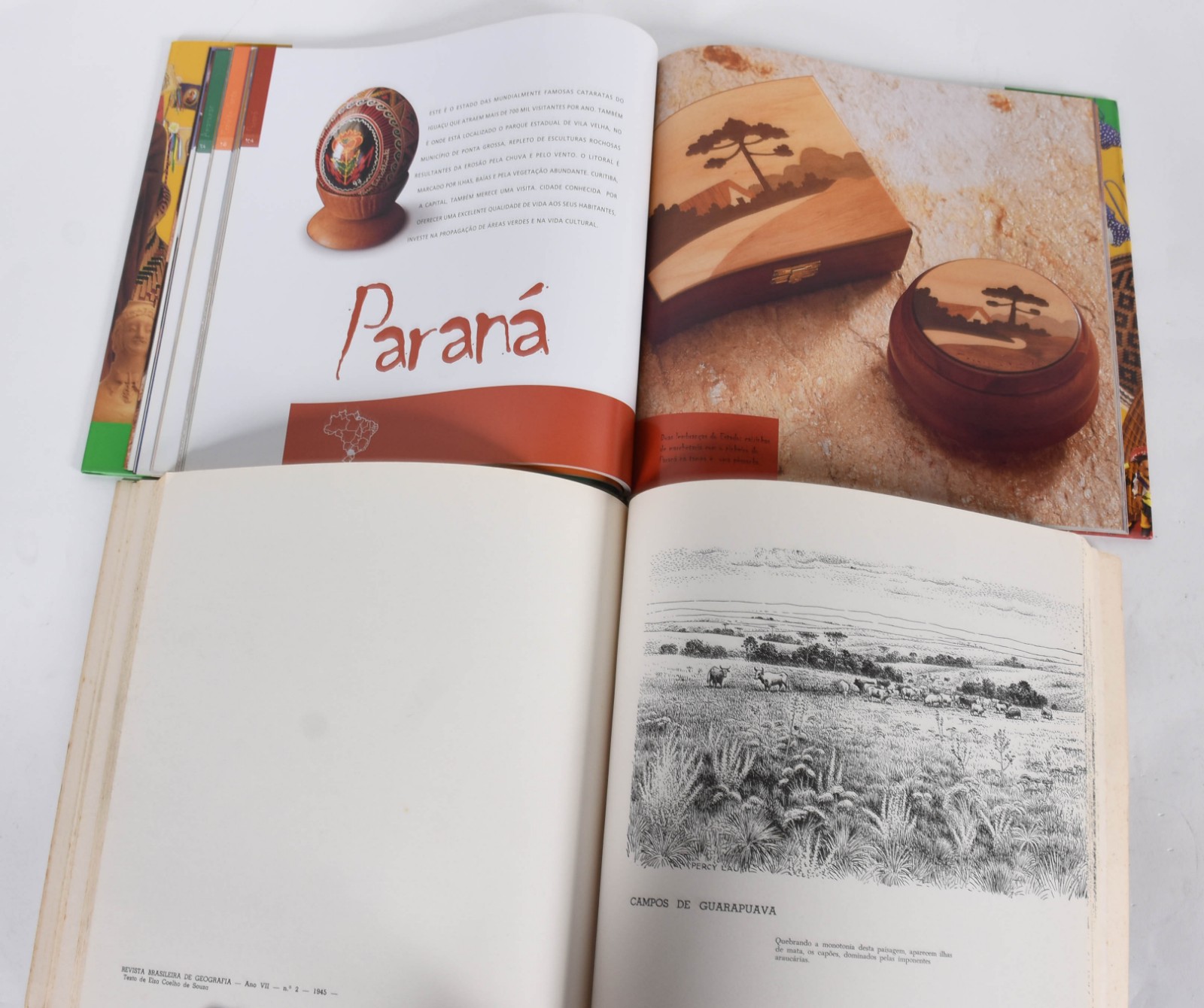 Dois livros sendo, Artesanato Brasileiro e Percyla. - foto 7 de 7