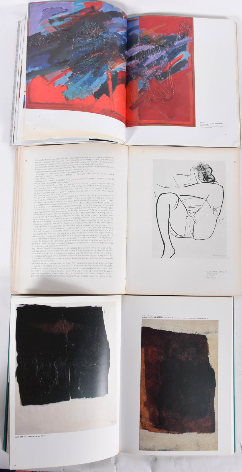 Três livros sendo, TOMIE OHTAKE, LUIZ AQUILA, SEGALL. - foto 4 de 5