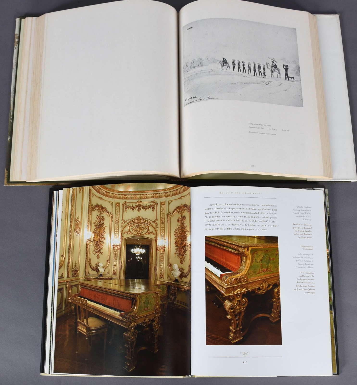 Dois livros sendo, O BRASIL DE THOMAS ENDER 1817 por Gilberto Ferrez... - foto 4 de 6