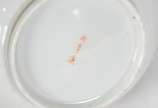 Diversas peças, sendo: Aparelho de porcelana or... - Diversas peças, sendo: Aparelho de porcelana oriental para chá composto de: bule, leiteira, açucareiro e quatro xícaras com pires; conjunto de s...