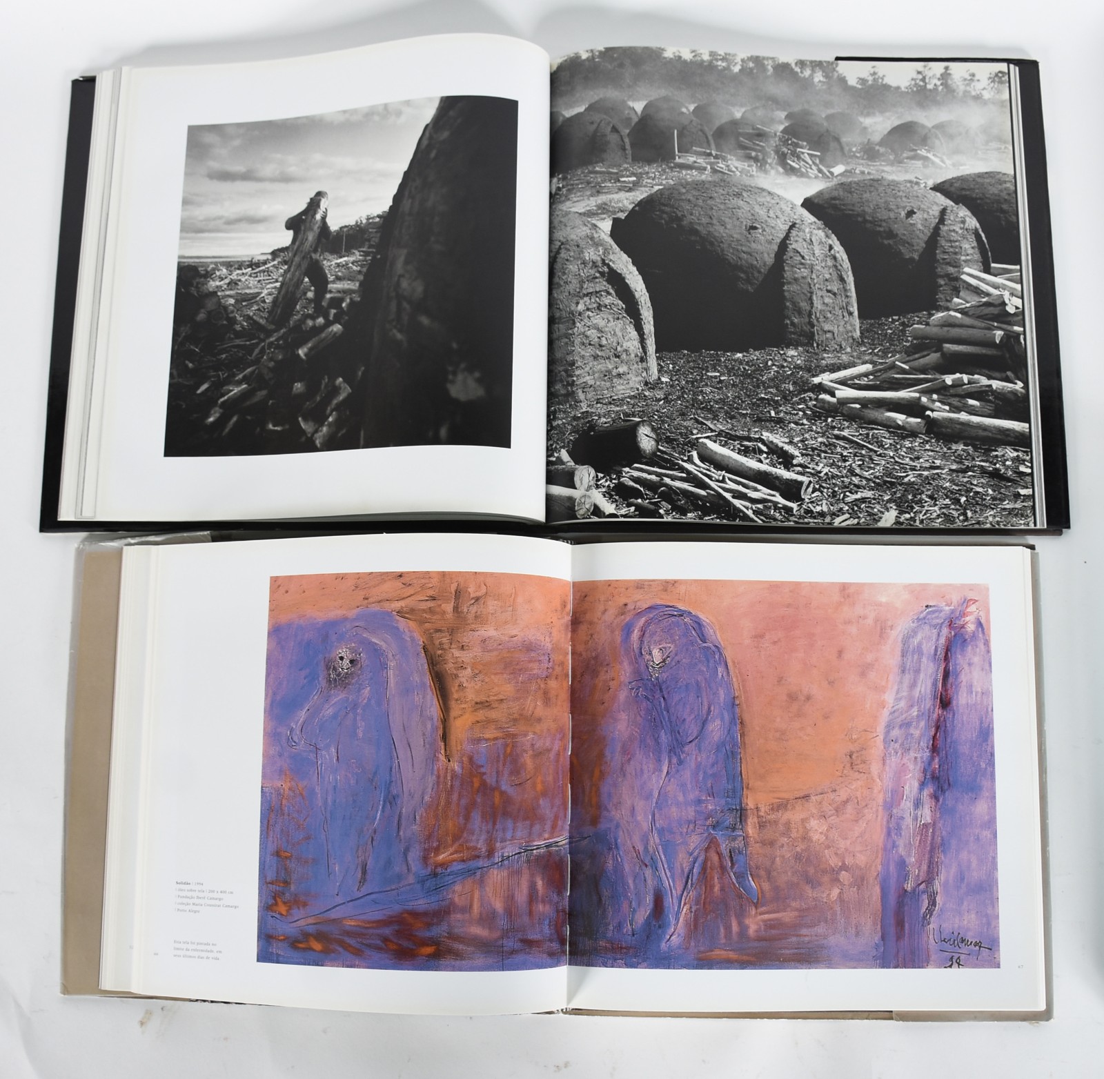 Quatro livros, sendo: a) Vistas e Paisagens da enseada de... - foto 5 de 10