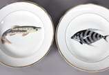 Serviço para peixe de porcelana Real composto p... - Serviço para peixe de porcelana Real composto por 12 pratos rasos, 12 porta espinhas, molheira, sopeira com tampa e travessa. Total 27 peças.