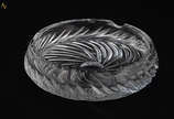 Cinzeiro de cristal lapidado. Diâmetro 18 cm. - Cinzeiro de cristal lapidado. Diâmetro 18 cm.