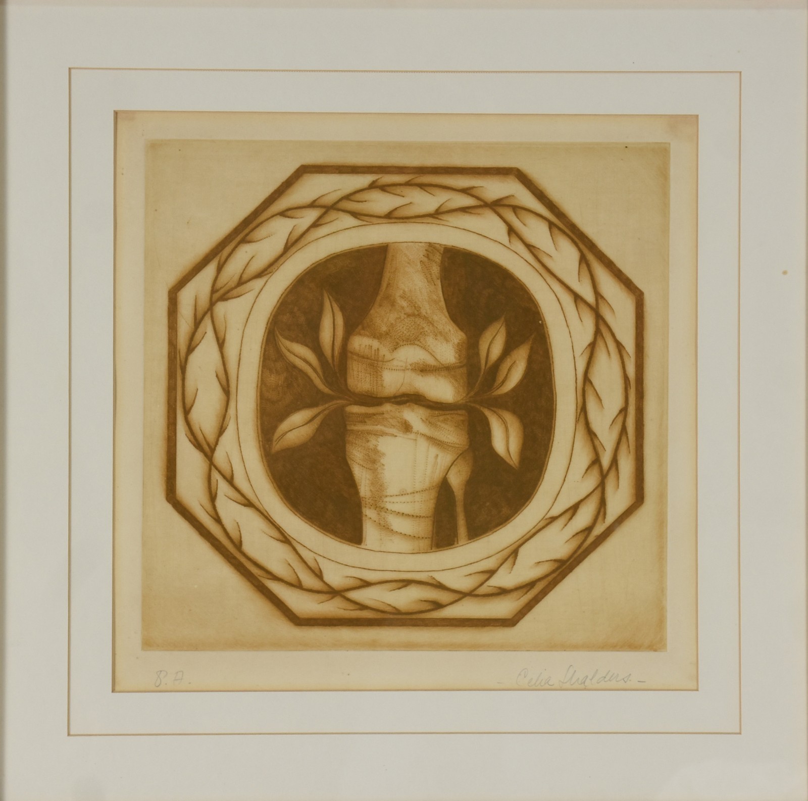 Celia Shalders (1934), Ressurreição - foto 2 de 5