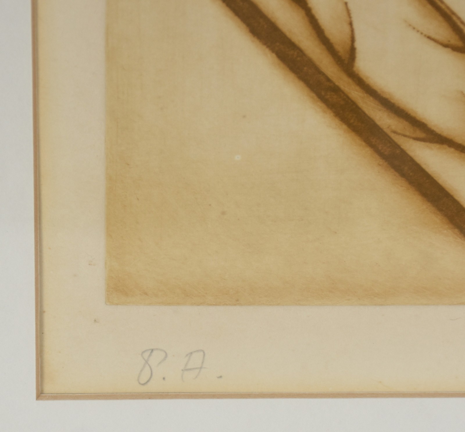 Celia Shalders (1934), Ressurreição - foto 3 de 5
