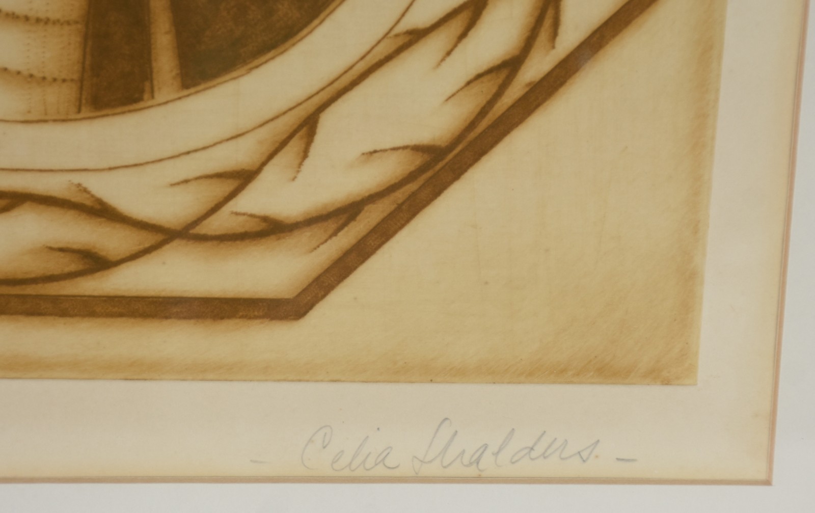 Celia Shalders (1934), Ressurreição - foto 4 de 5