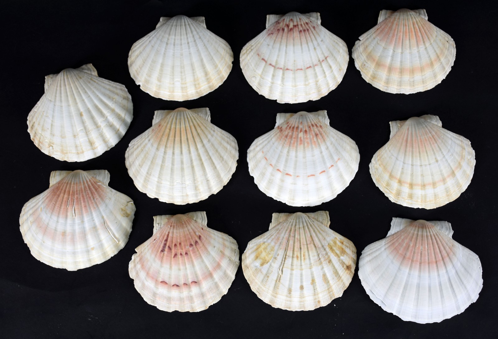 1/2
