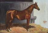 Assinatura não identificada, Cavalo - ose.