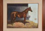 Assinatura não identificada, Cavalo - ose.