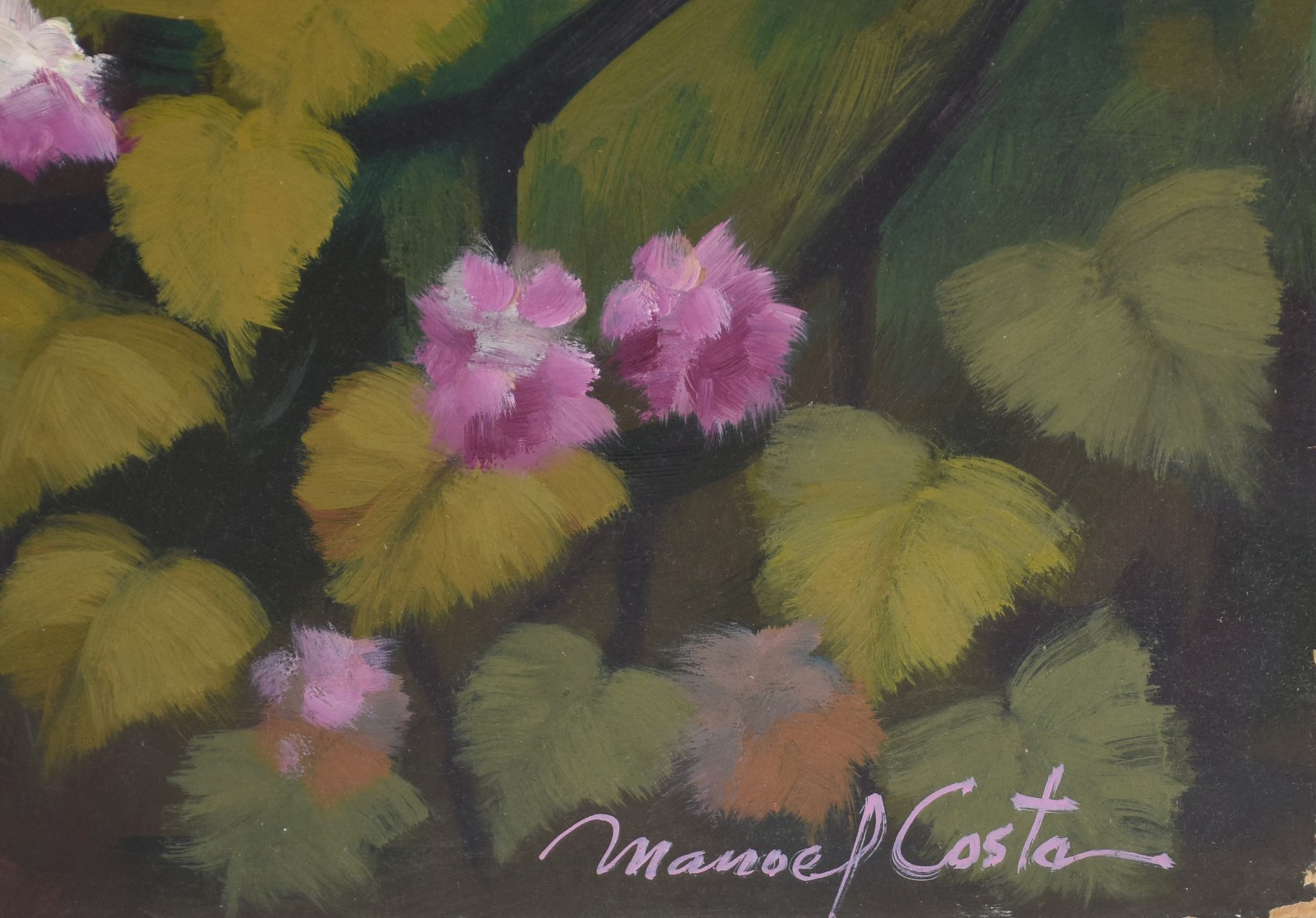 Manoel Costa (1943), São Francisco - foto 2 de 4
