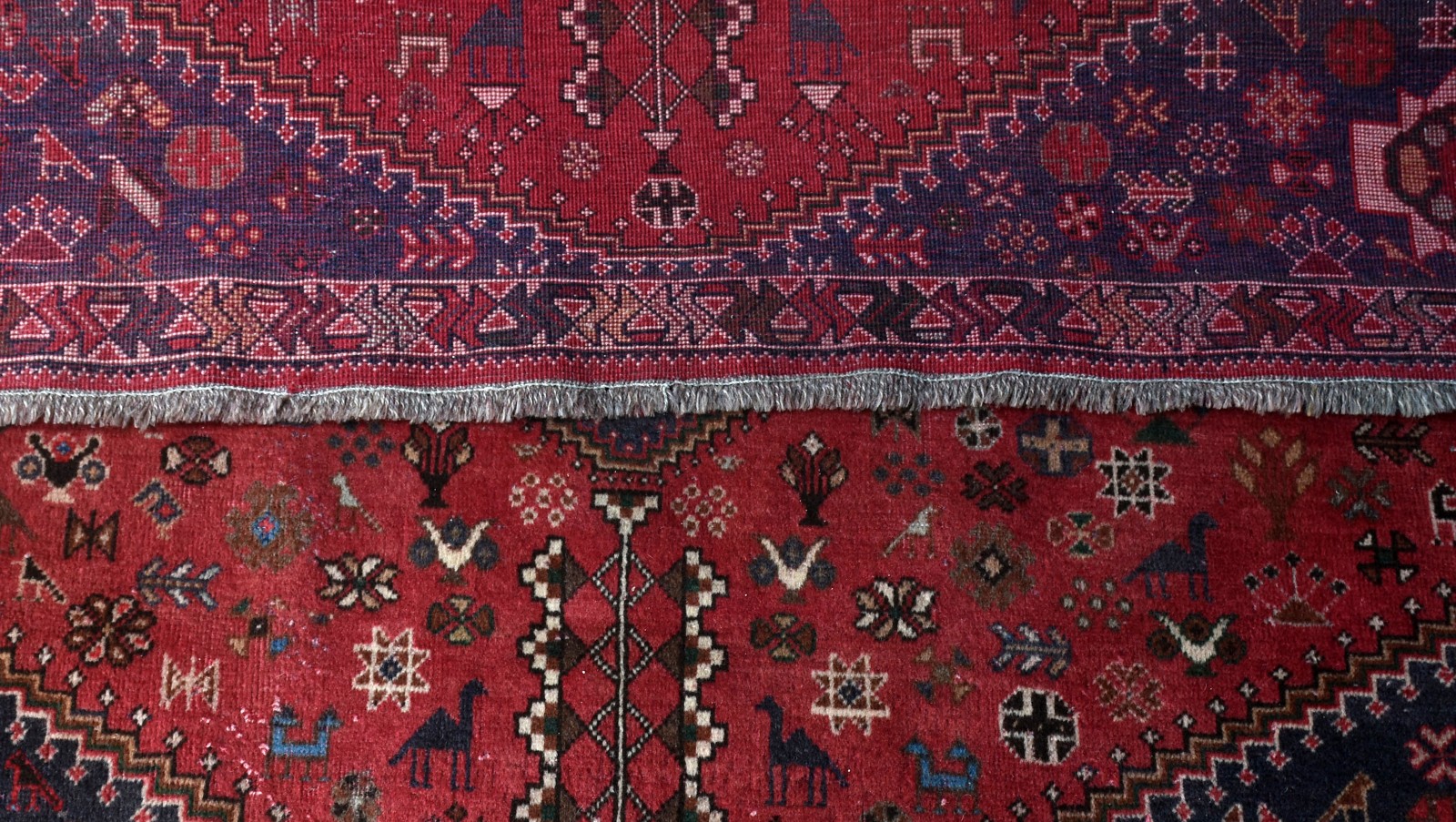 Tapete Shiraz (partes rapé). - foto 2 de 3