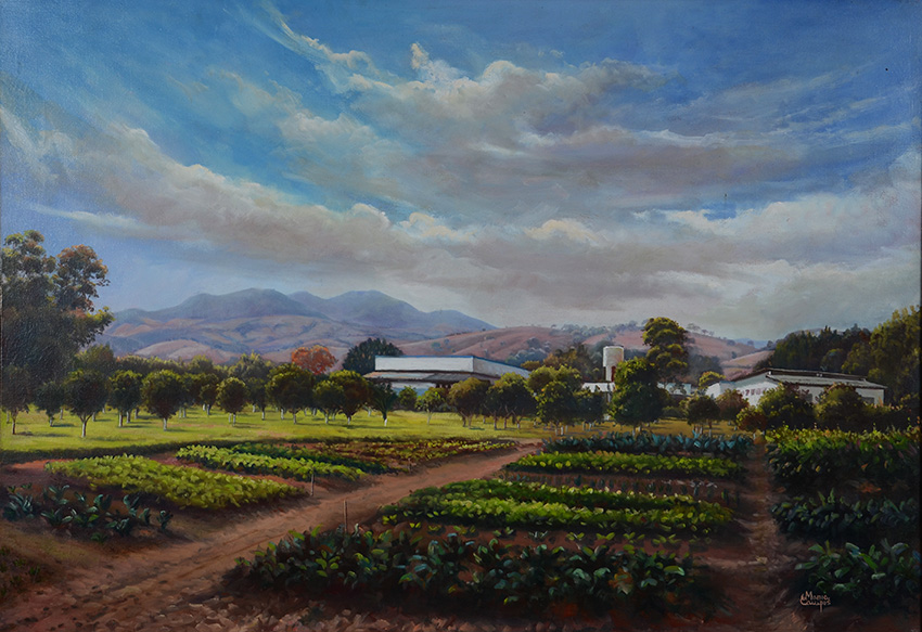 MARIA CAMPOS - Paisagem - ost - 70 x 100 - foto 1 de 2