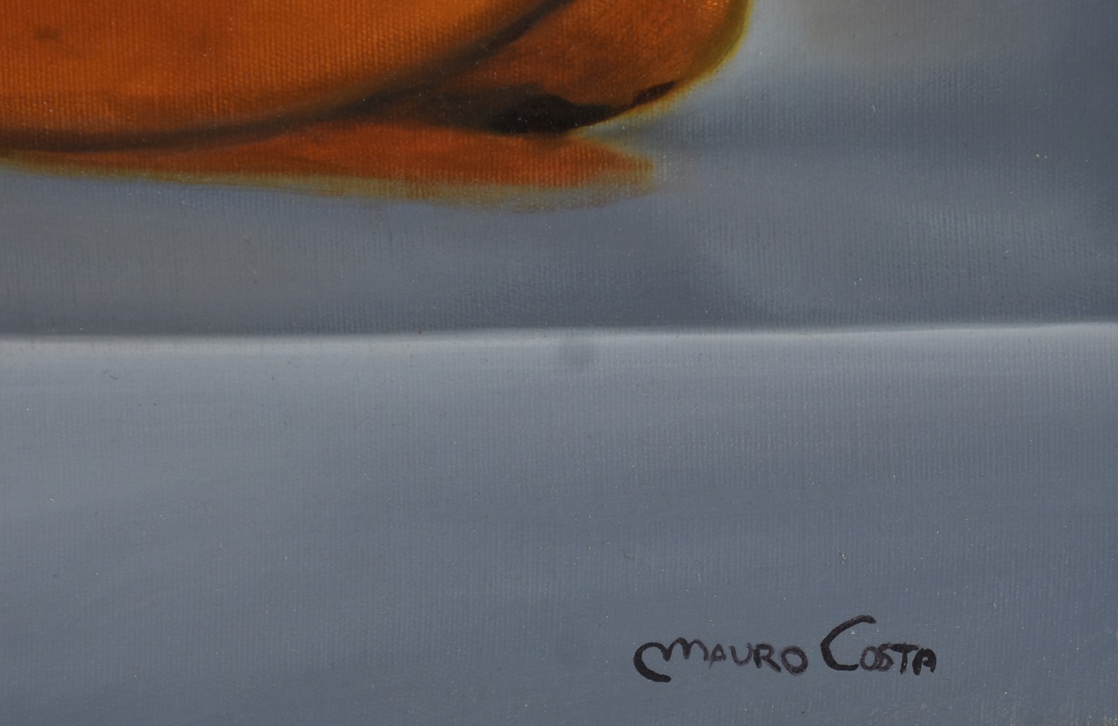 Mauro Costa (1973), Natureza Morta - foto 2 de 3