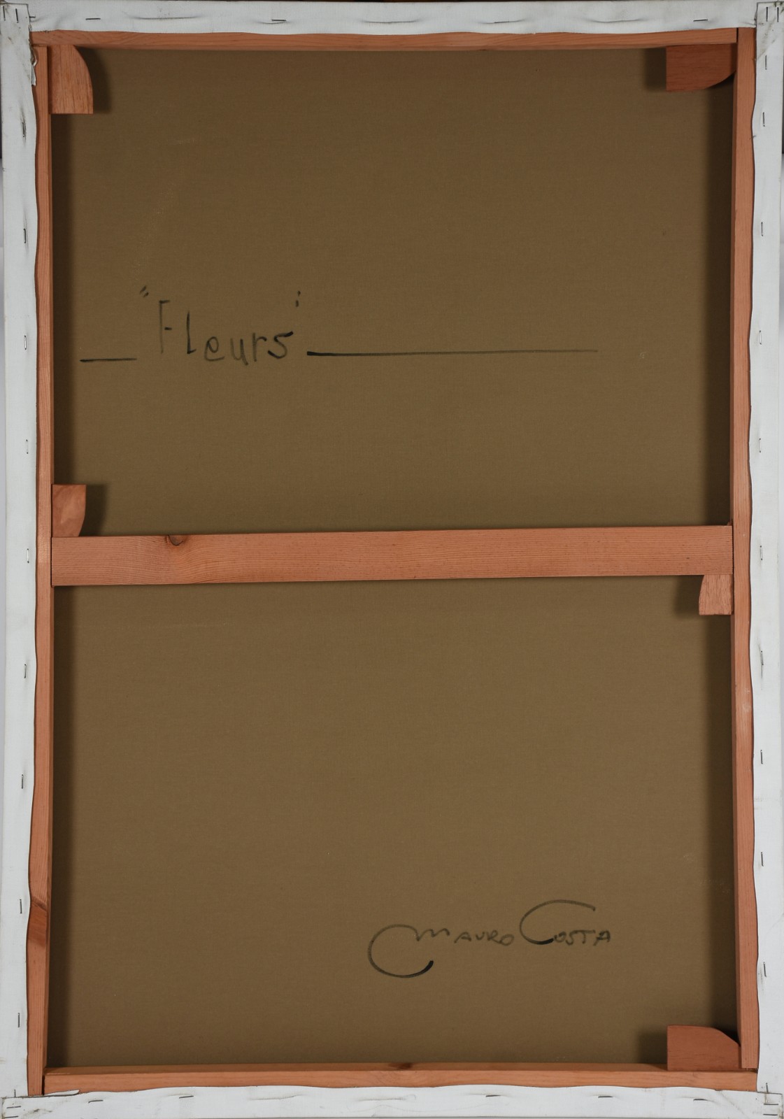 Mauro Costa (1973), Fleurs - foto 3 de 3