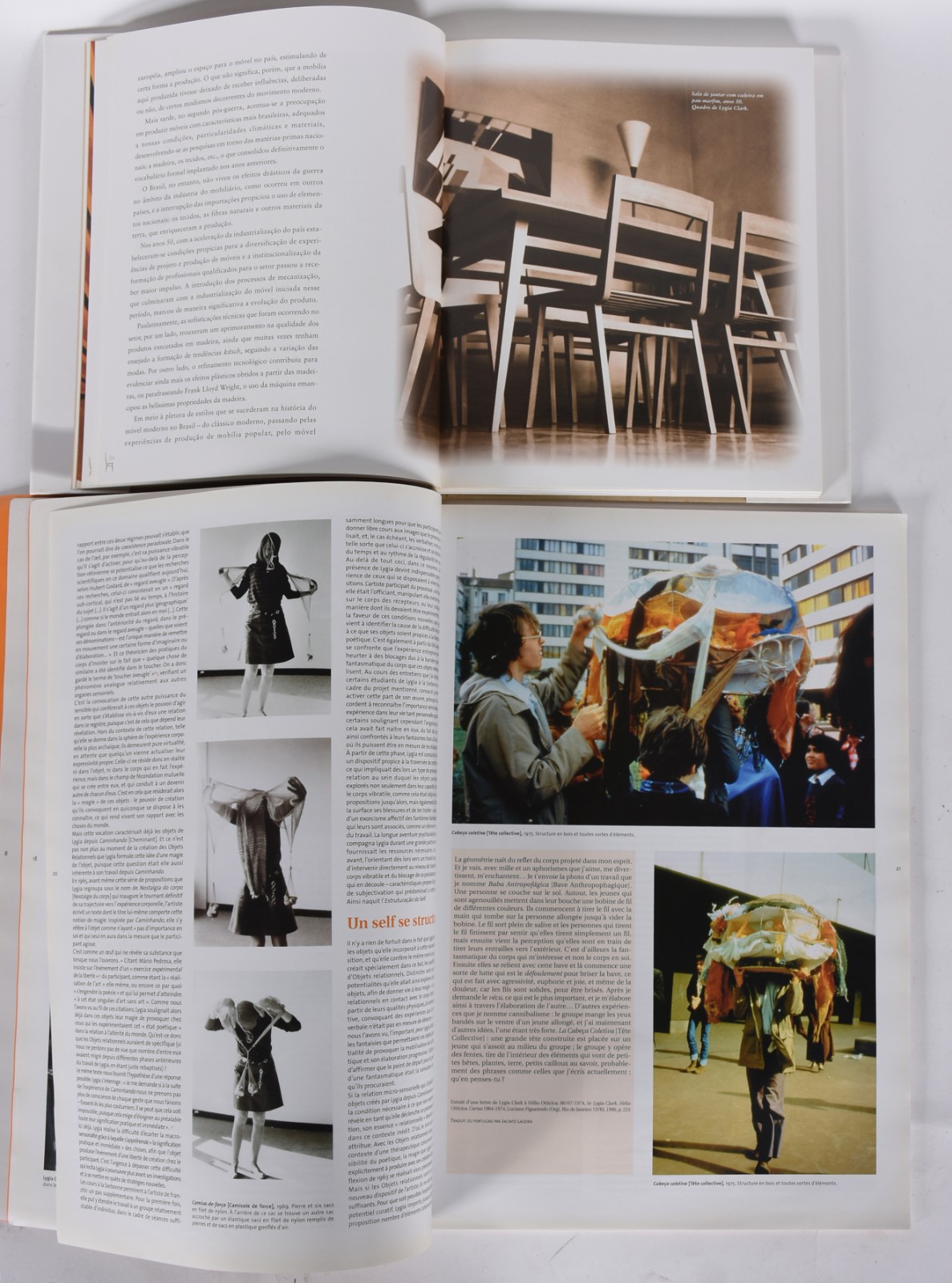 Dois livros: A) Tenreiro - Bolsa de Arte do Rio de Janeiro. B) Lygia... - foto 4 de 8