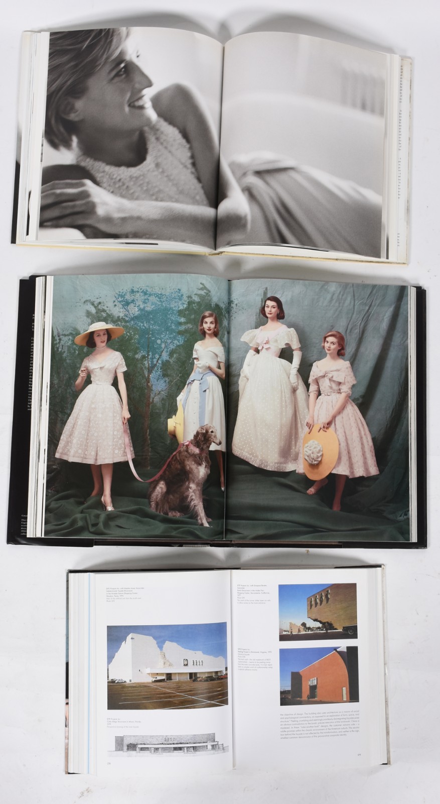 Doze livros diversos: A) Dior - Mark Shaw B)Mosaics - Martin Cheek C)... - foto 6 de 8