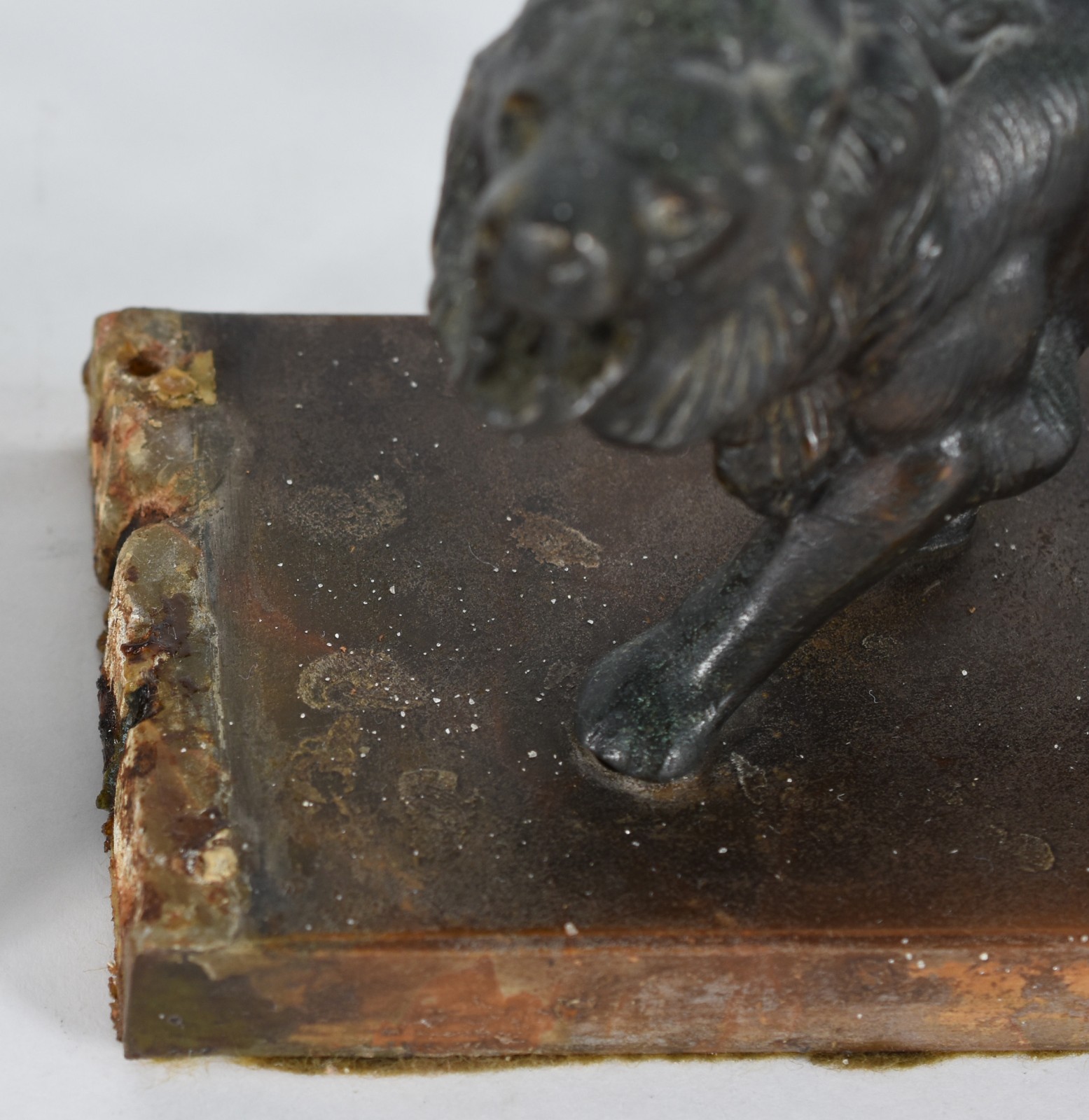 Serre livres representando par de leões de petit bronze, faltando... - foto 7 de 7