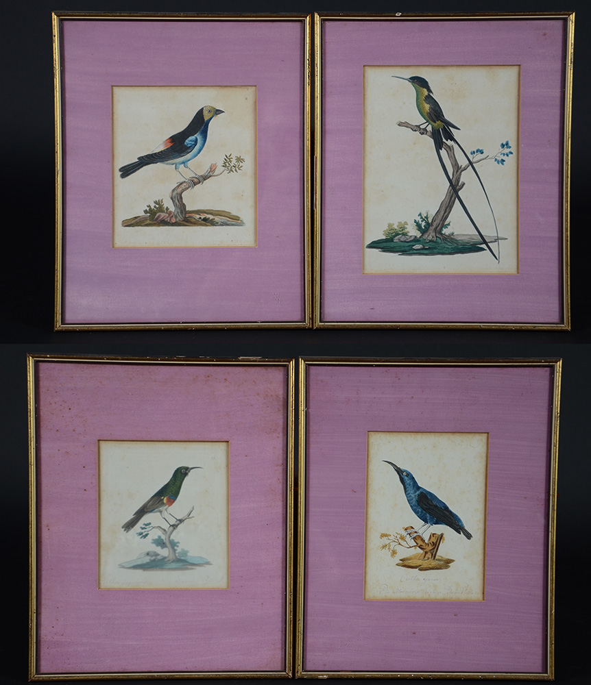 Quatro pequenas gravuras com pássaros, med.externa 32 x 26 cm.