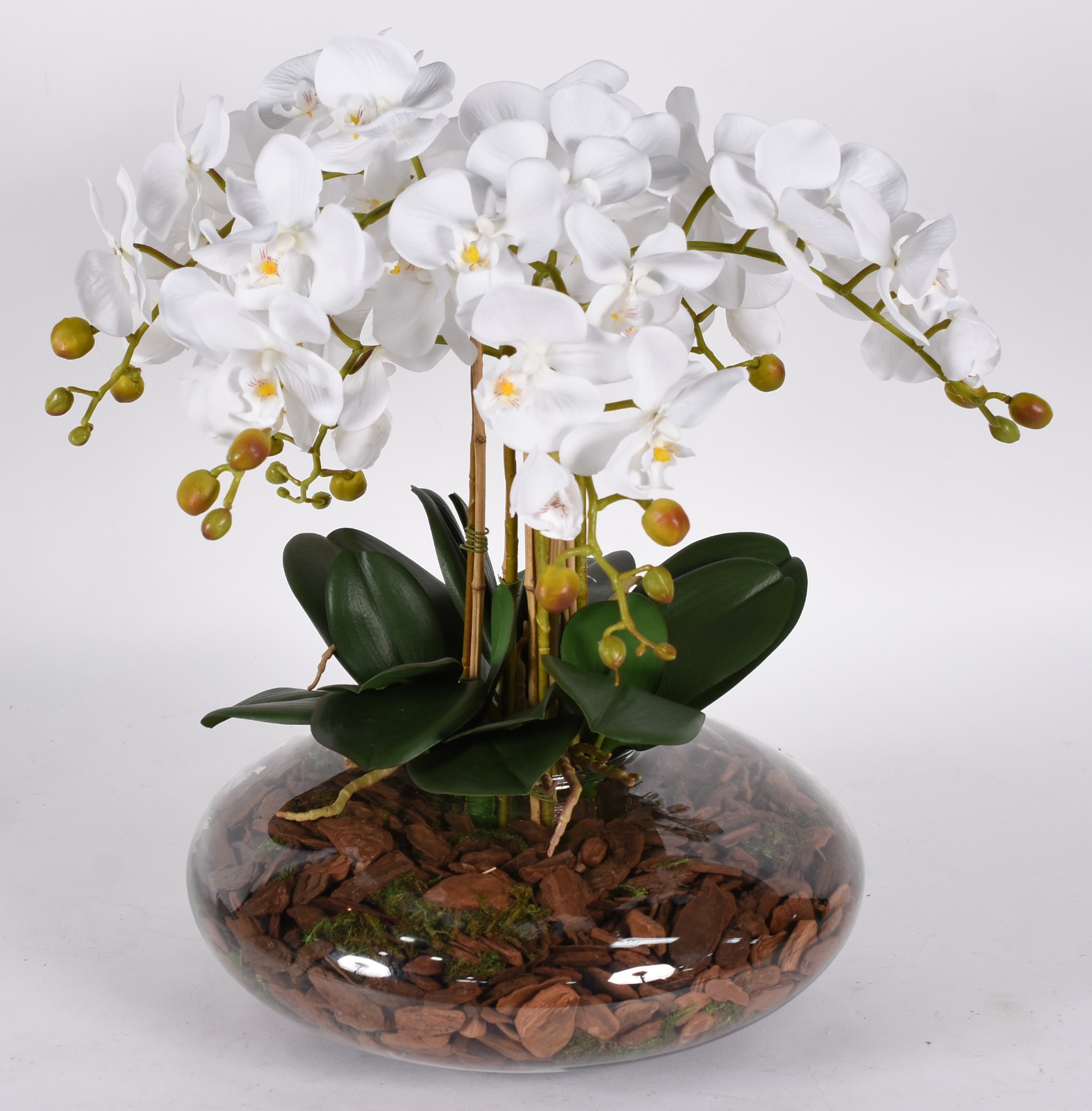 Composição de orquídeas permanentes em bowl de vidro. - foto 1 de 3