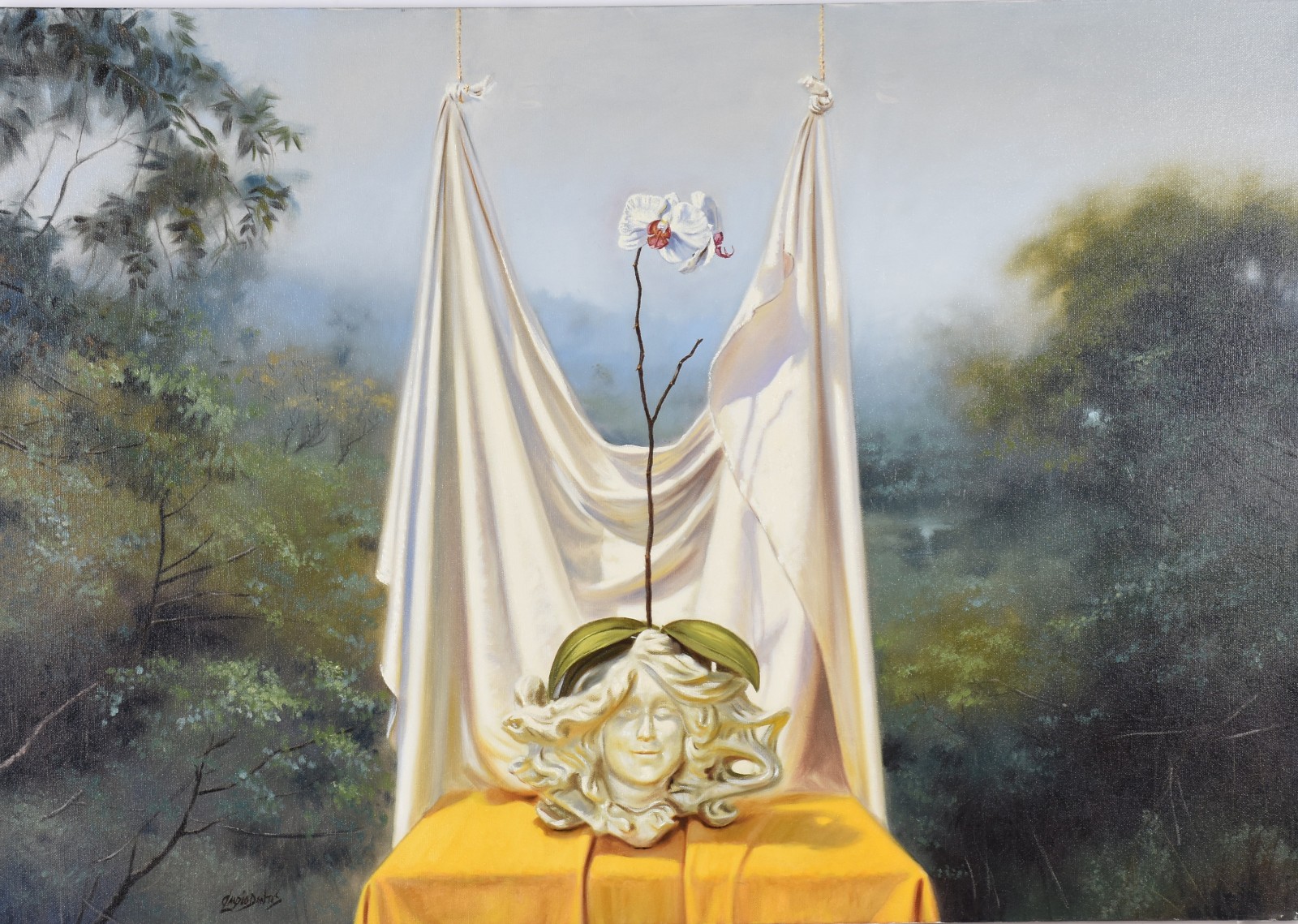 Claudio Dantas (1959), Still, Its Life - foto 1 de 3