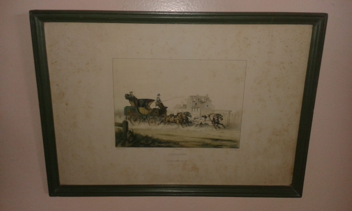Par de gravuras francesas med.18 x 25 cm cada, com fungos. - foto 1 de 2