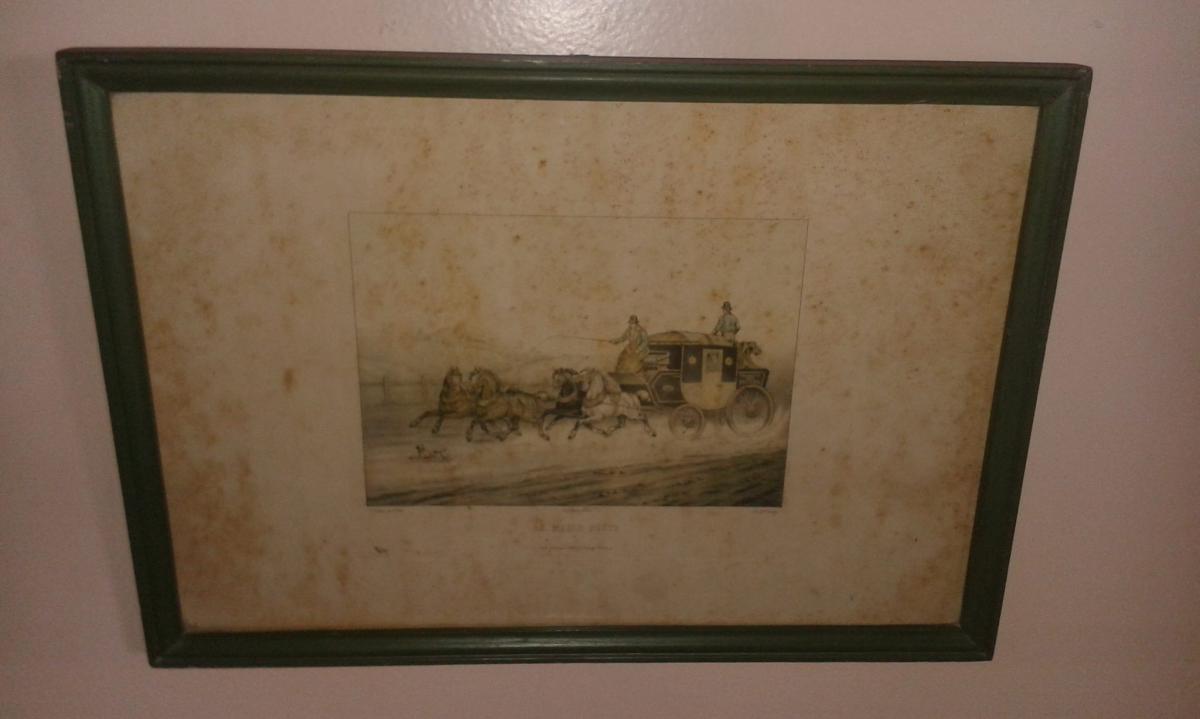 Par de gravuras francesas med.18 x 25 cm cada, com fungos. - foto 2 de 2