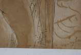 Percy Lau (1903-1972), Nú - Desenho sobre papel.