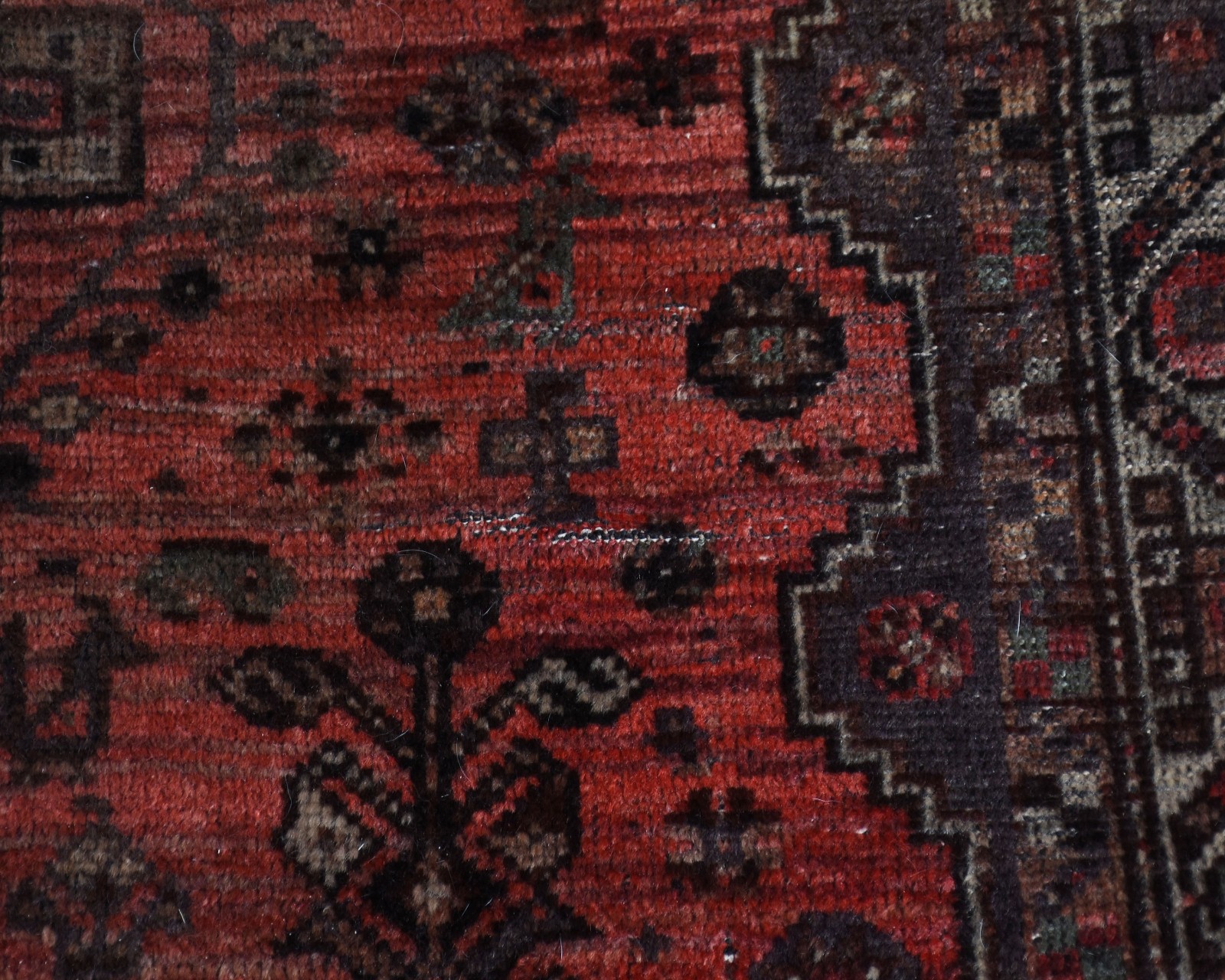 Tapete Shiraz. - foto 3 de 3