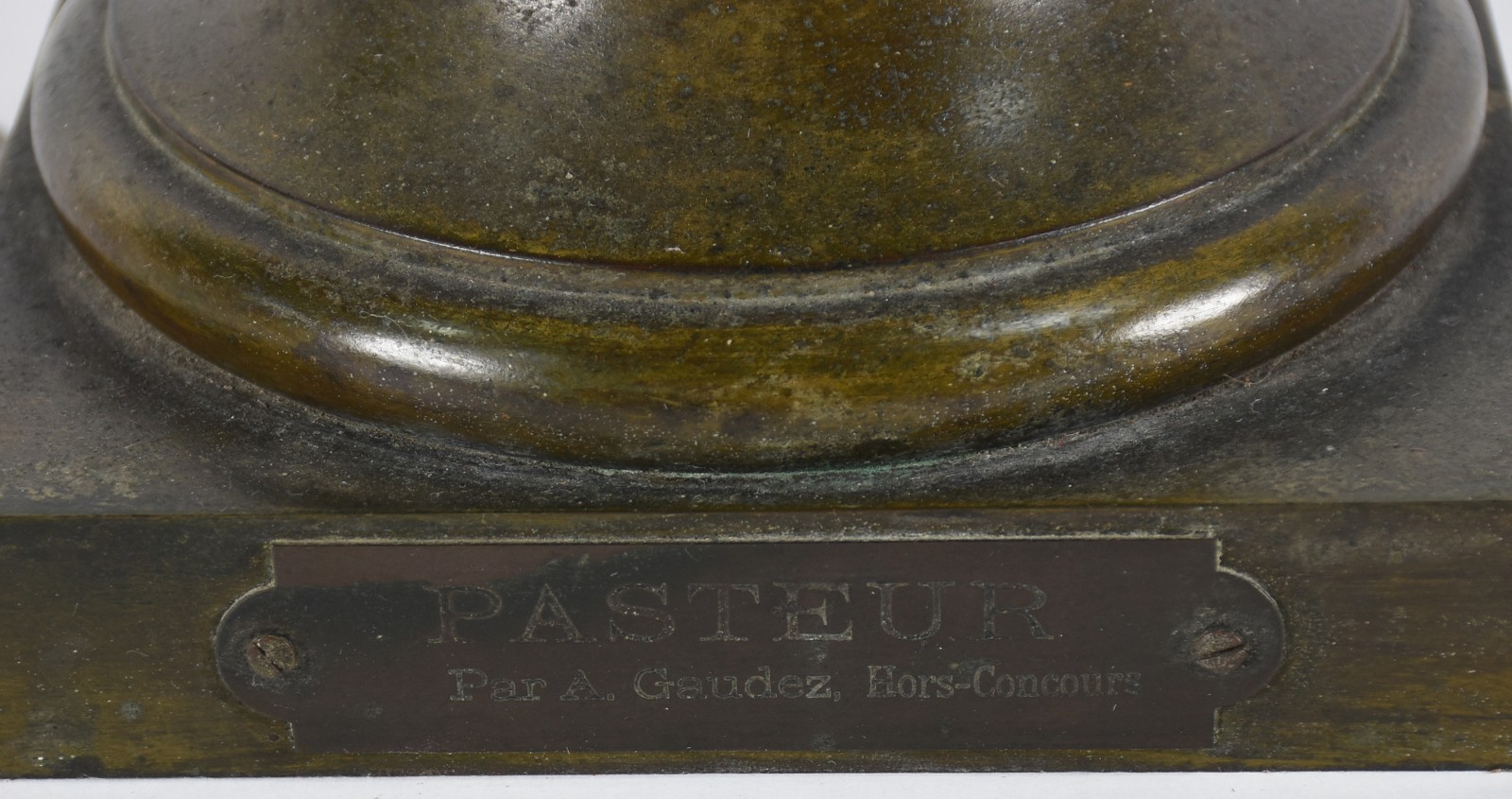 Adrien Étienne Gaudez (1845-1902), Pasteur - foto 5 de 9