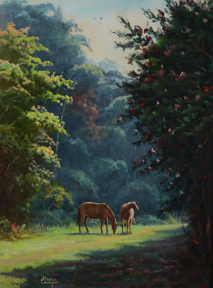 MARIA CAMPOS - paisagem - ose - 40 x 30 - foto 1 de 2