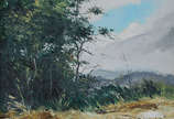 OSCAR TECIDIO - Arvores de Teresópolis - ose - ... - OSCAR TECIDIO - Arvores de Teresópolis - ose - 46 x 38