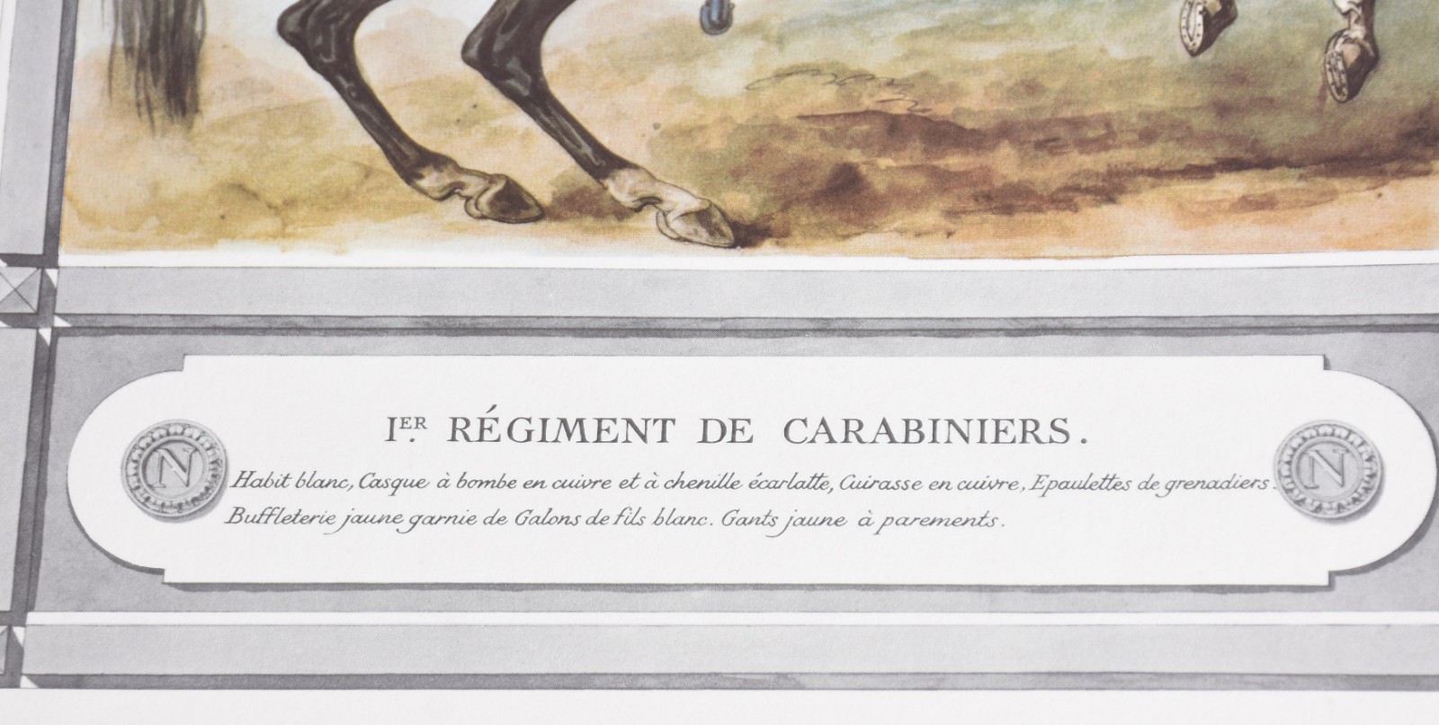 La Grande Armée de 1812 - foto 9 de 9