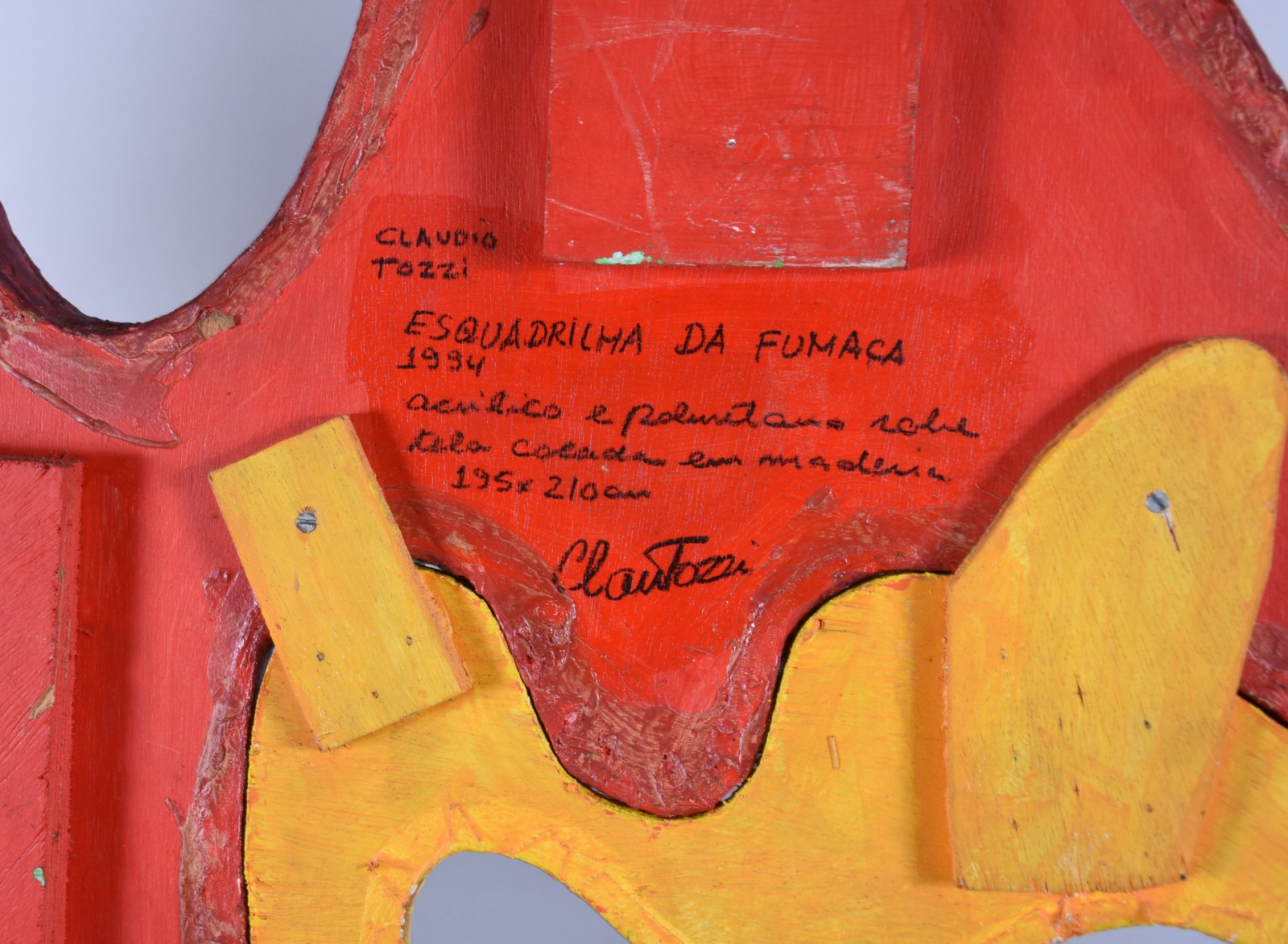 Claudio Tozzi (1944), Esquadrilha da Fumaça - foto 3 de 10