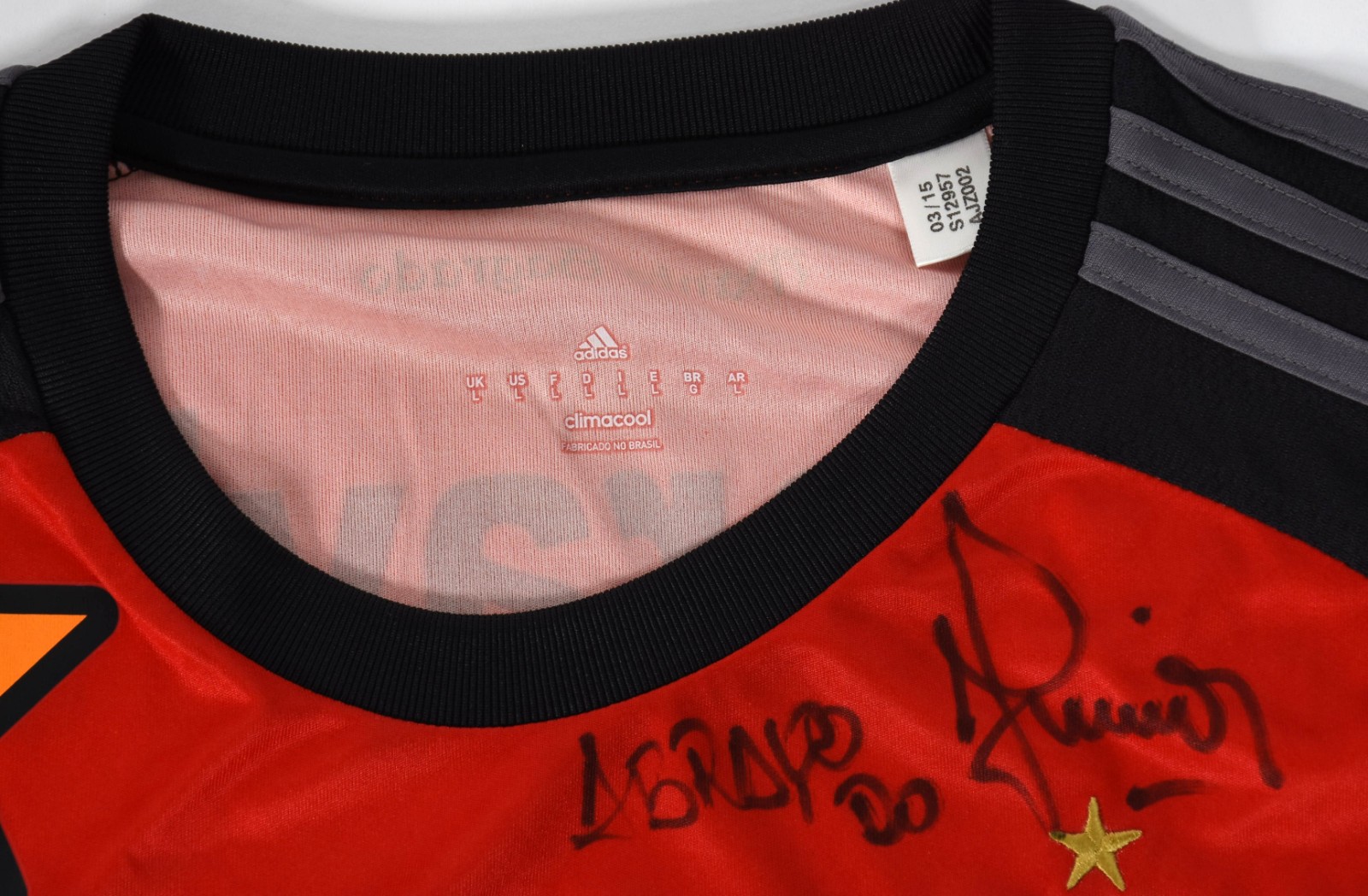 Manto Sagrado do Flamengo doada pelo jogador Júnior, dada aos... - foto 3 de 5