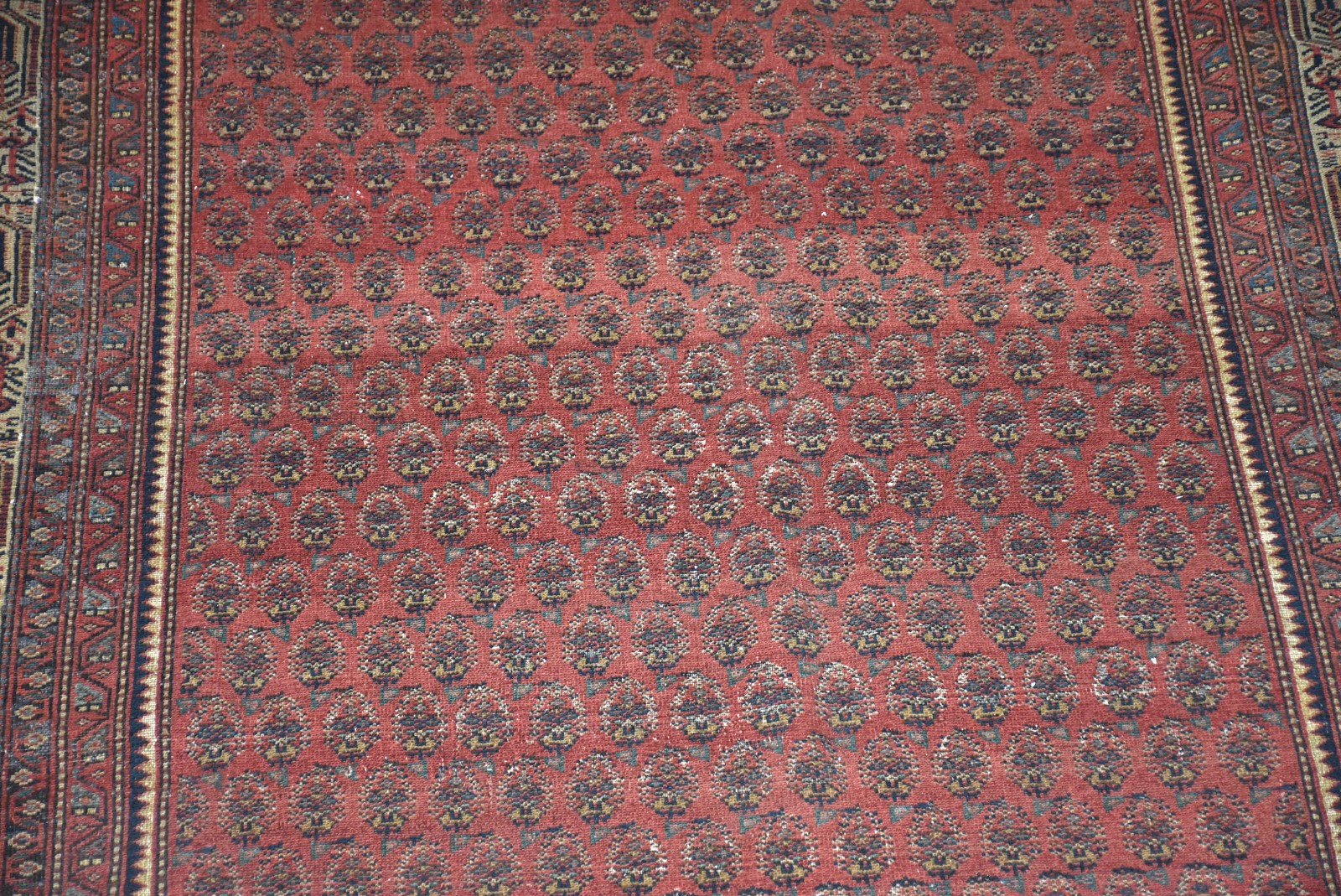 Tapete Saraband (1801) - foto 3 de 3