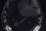 Três peças de vidro lapidado, sendo vaso, prato... - Três peças de vidro lapidado, sendo vaso, prato redondo; prato oval.