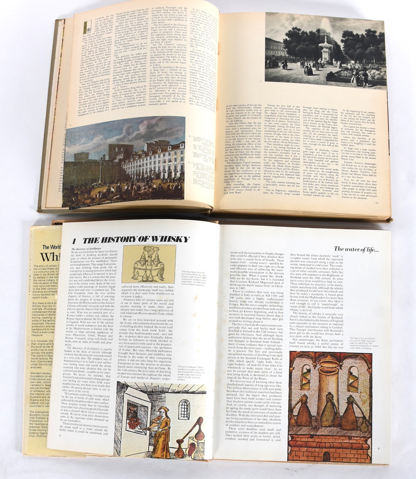 Dois livros: A) The World book of Whisky - Brian Murphy B) Lisboa... - foto 3 de 7
