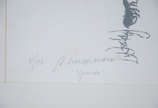 Rubens Gerchman (1942-2008),  - ¨Garrincha¨ serigrafia 17/150  med: 42 X 21 cm  