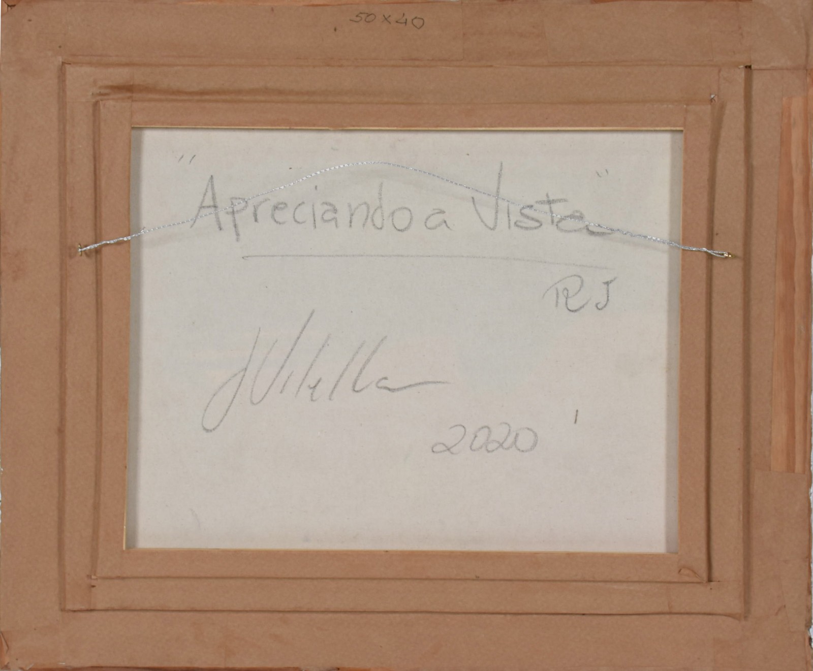 João Vilella (1950), Apreciando á Vista - foto 4 de 4