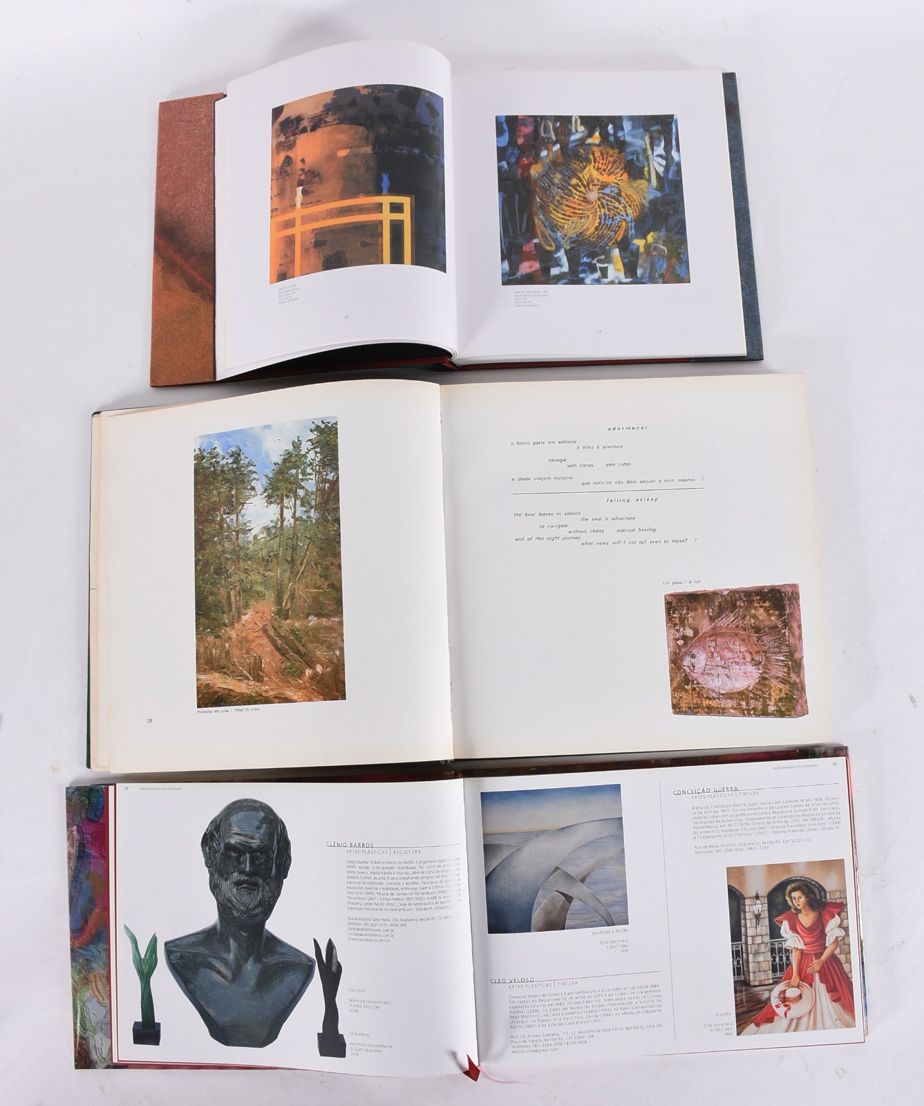 Oito livros: A) Aquário Pernambucano de Arte - 2012 B) Carlos Vergara... - foto 2 de 8