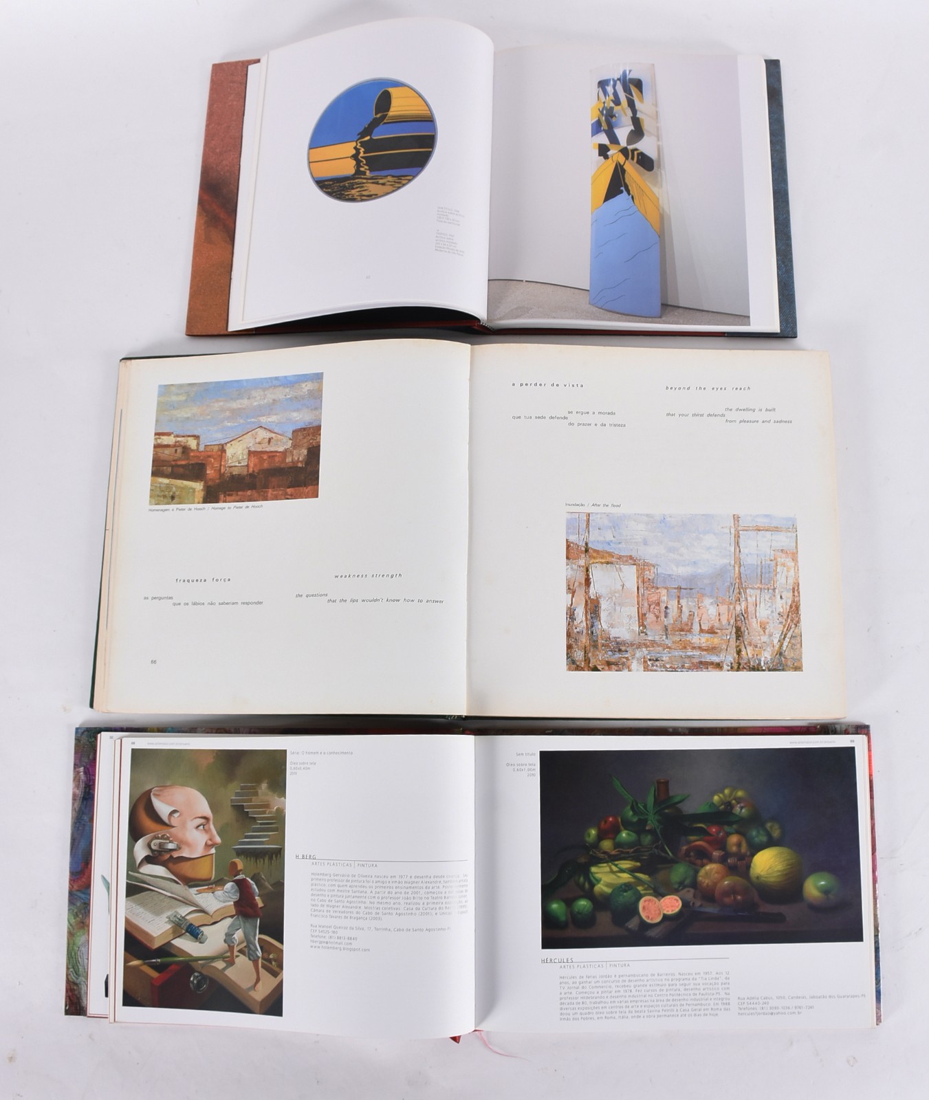 Oito livros: A) Aquário Pernambucano de Arte - 2012 B) Carlos Vergara... - foto 3 de 8