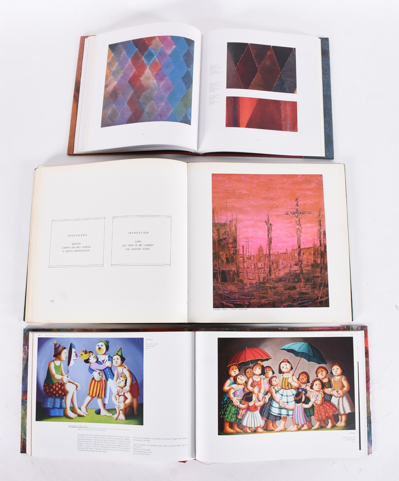 Oito livros: A) Aquário Pernambucano de Arte - 2012 B) Carlos Vergara... - foto 4 de 8