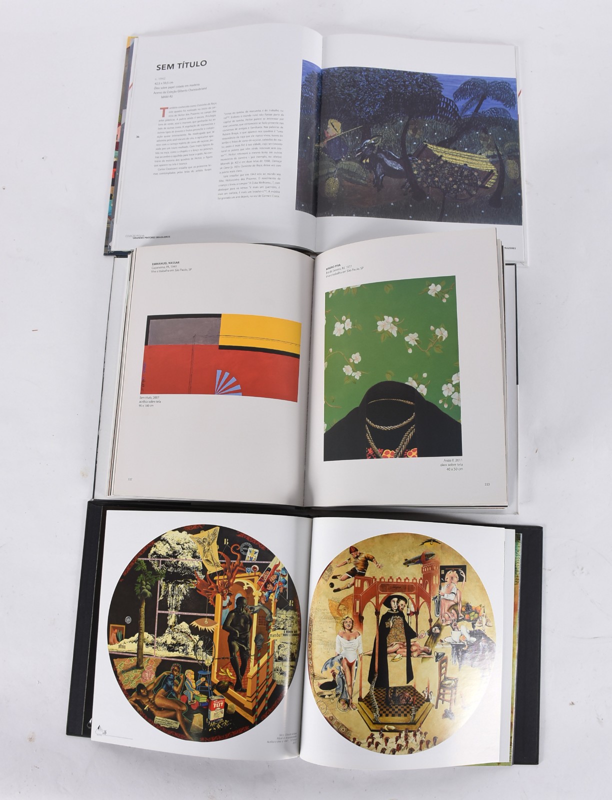 Oito livros: A) Aquário Pernambucano de Arte - 2012 B) Carlos Vergara... - foto 5 de 8