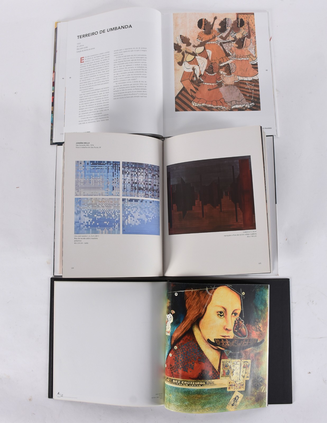 Oito livros: A) Aquário Pernambucano de Arte - 2012 B) Carlos Vergara... - foto 6 de 8