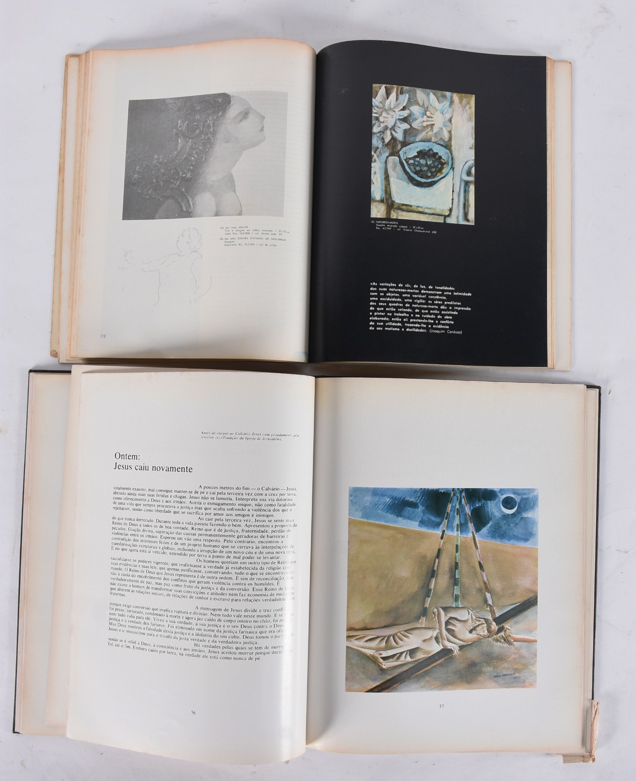 Oito livros: A) Aquário Pernambucano de Arte - 2012 B) Carlos Vergara... - foto 8 de 8