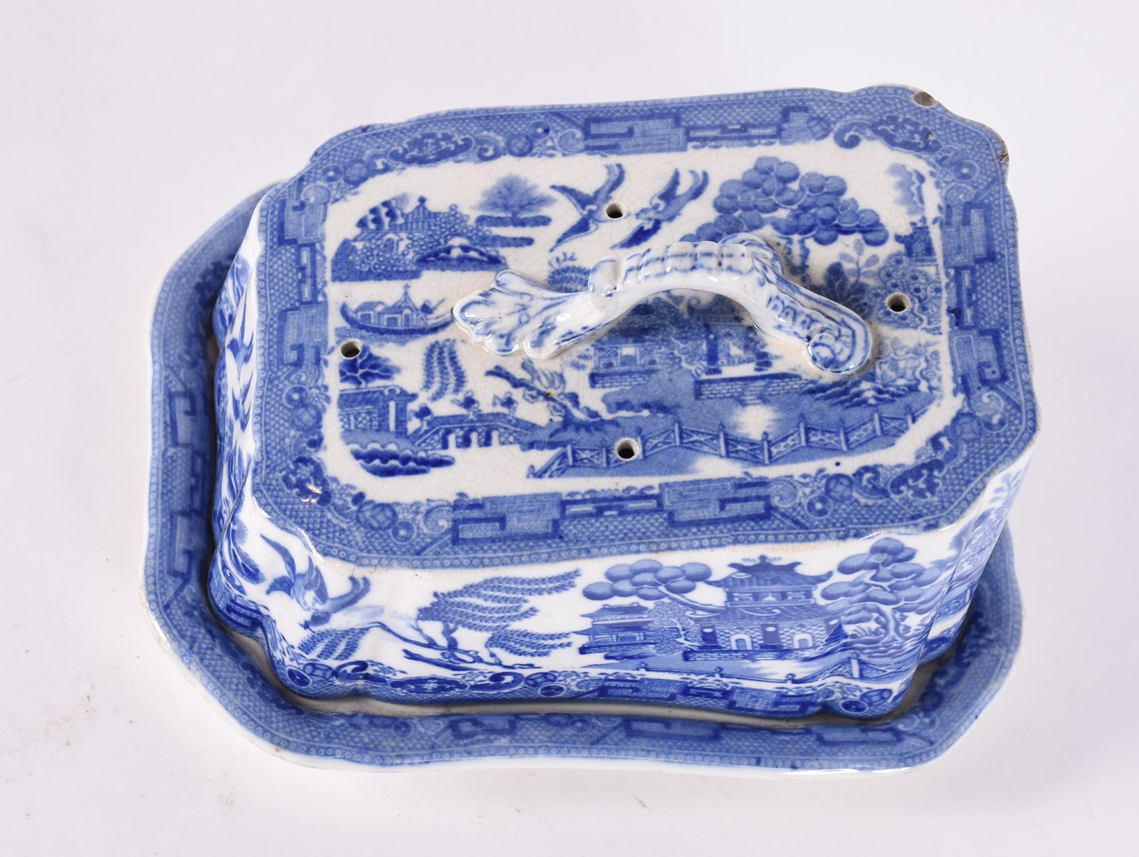 Queijeira de porcelana inglesa azul e branca decoração "pombinho". - foto 3 de 6