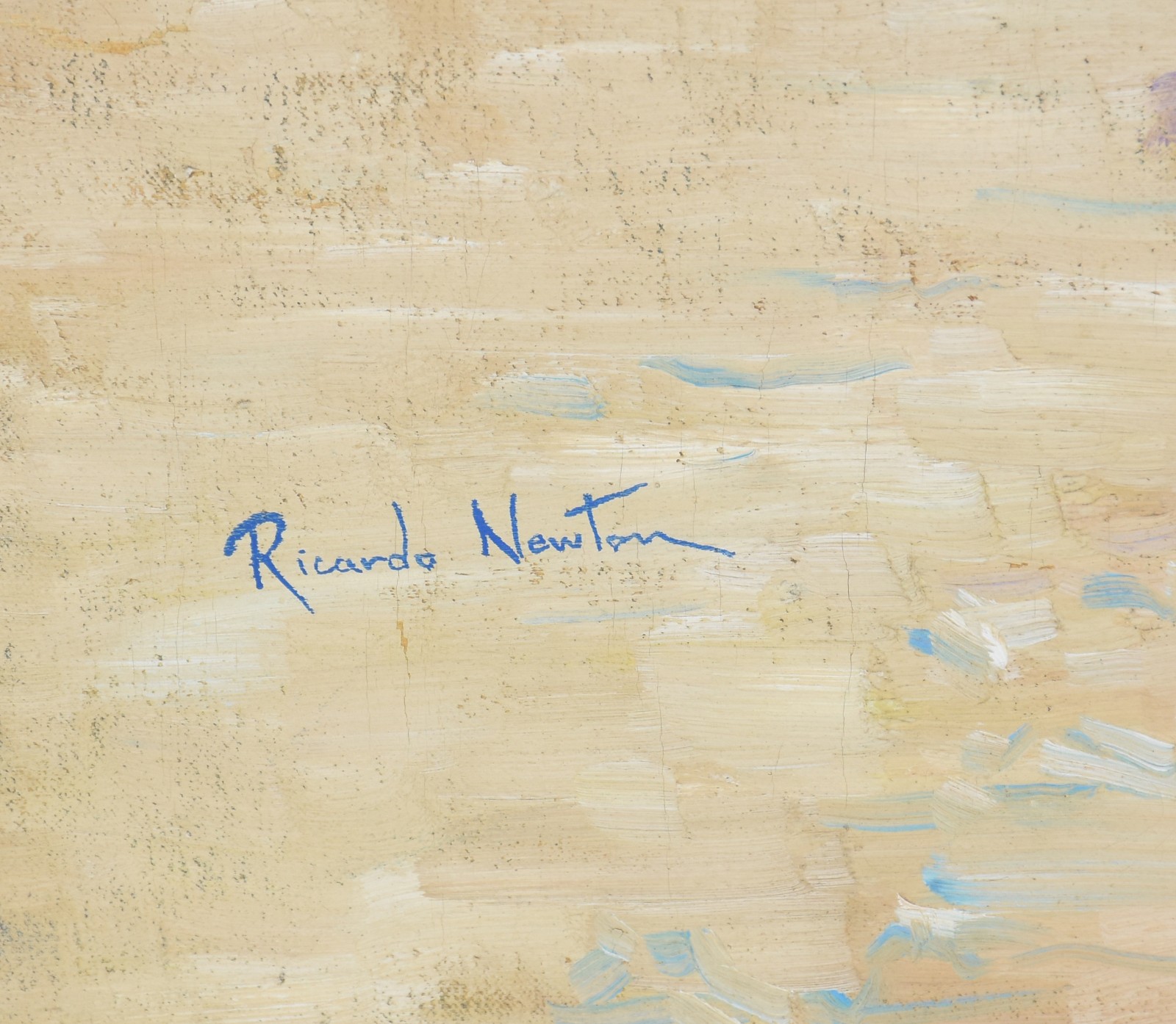 Ricardo Newton (1950), Antropologia Tropical - foto 2 de 3