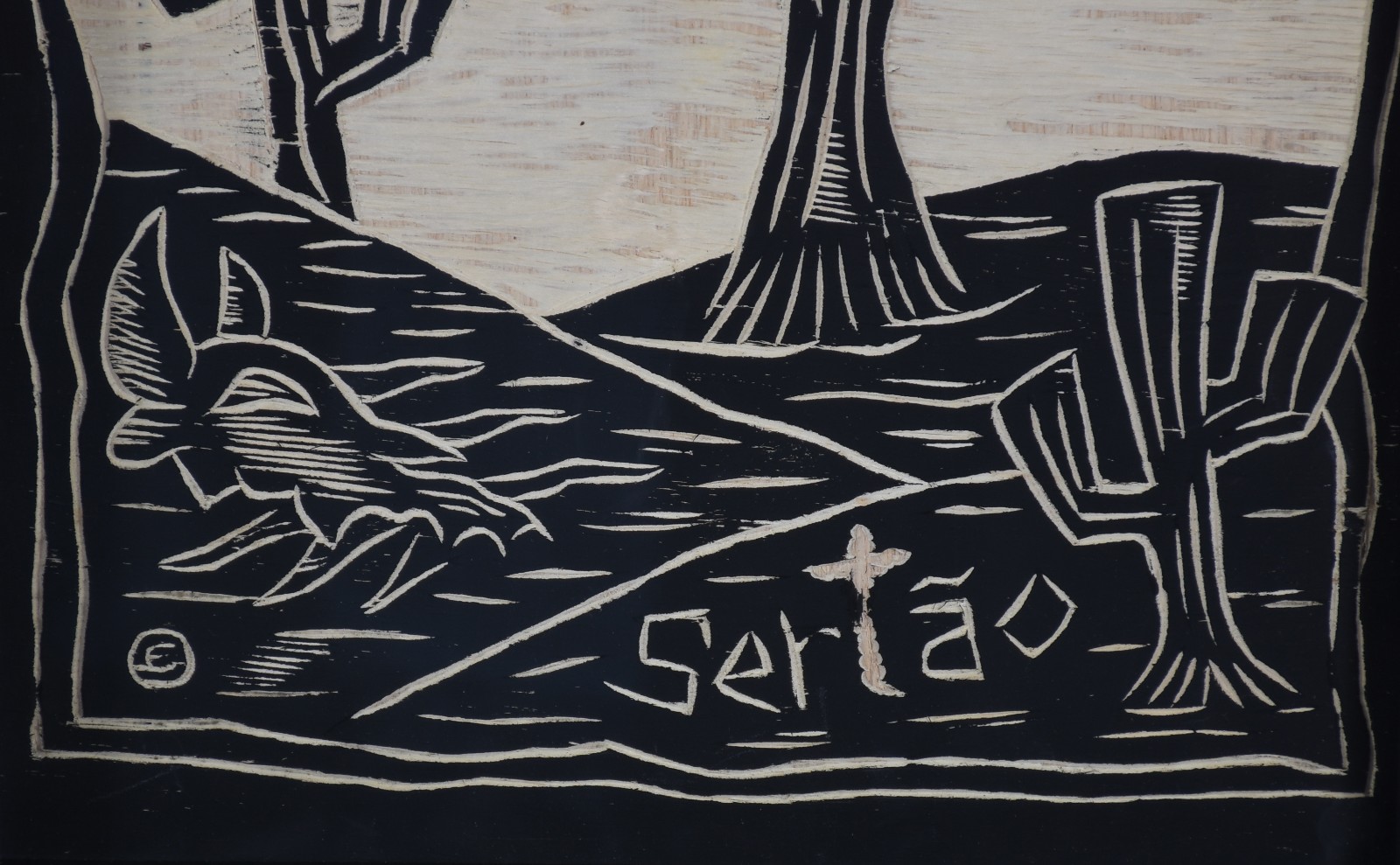 Sertão - foto 3 de 4